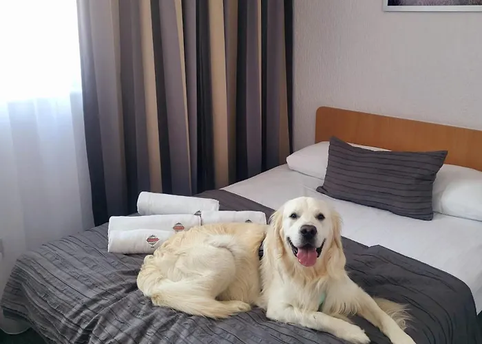 Gromada Stadion מלון 3*