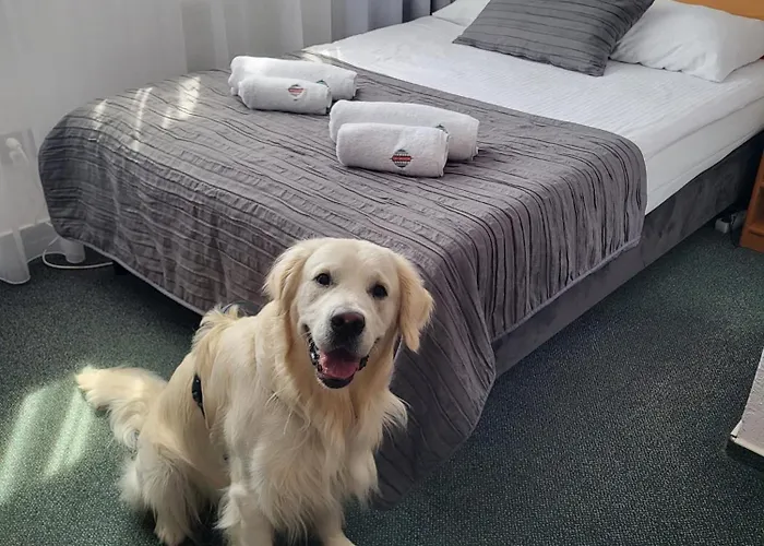 فندق Gromada Stadion 3*