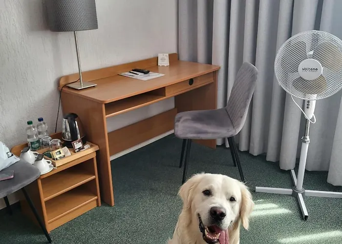 فندق Gromada Stadion 3*